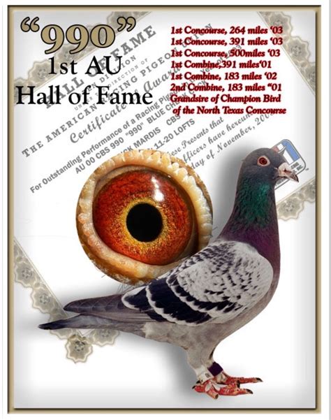 We guarantee the best auction result through a tailor-made strategy. . Cbs pigeons for sale
